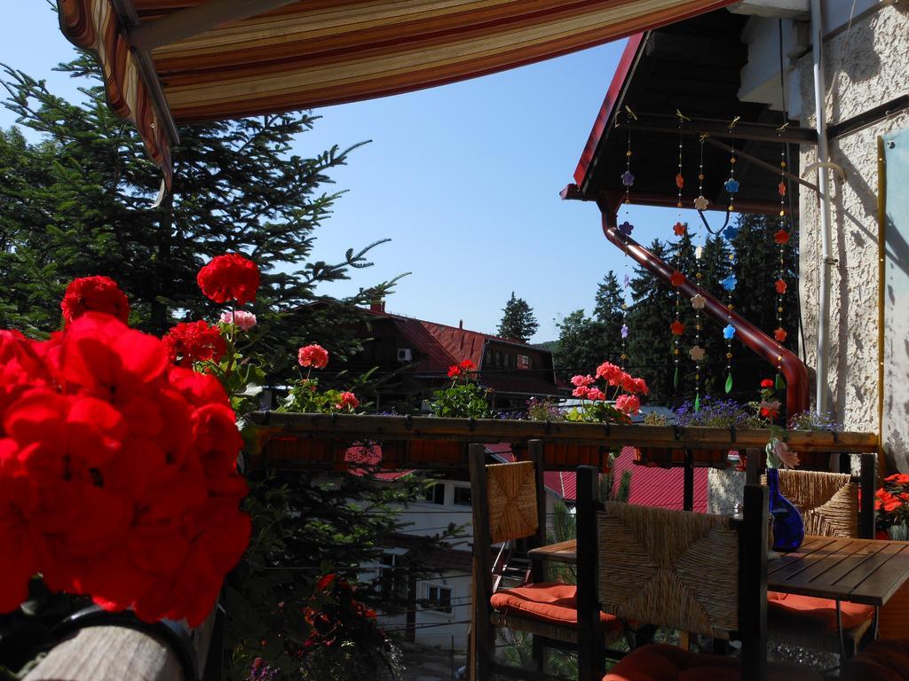 Bistro-Pension La Teleferic Sinaia Exteriör bild