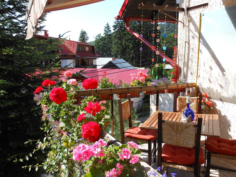 Bistro-Pension La Teleferic Sinaia Exteriör bild