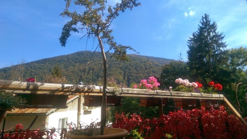 Bistro-Pension La Teleferic Sinaia Exteriör bild