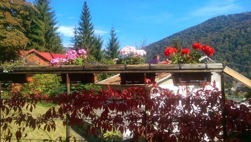 Bistro-Pension La Teleferic Sinaia Exteriör bild
