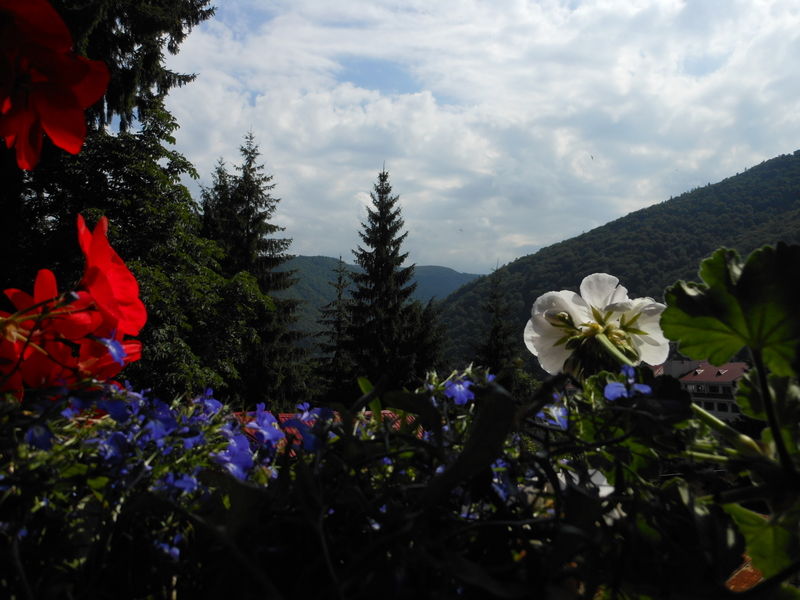Bistro-Pension La Teleferic Sinaia Exteriör bild