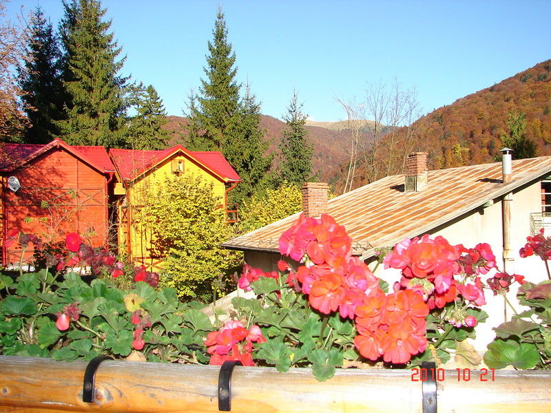 Bistro-Pension La Teleferic Sinaia Exteriör bild