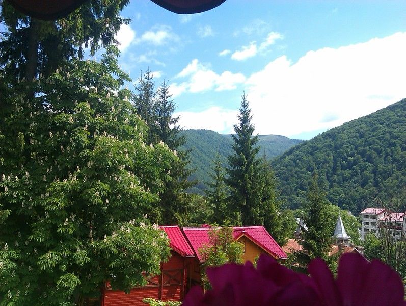 Bistro-Pension La Teleferic Sinaia Exteriör bild