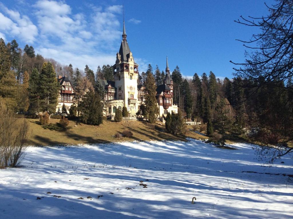 Bistro-Pension La Teleferic Sinaia Exteriör bild
