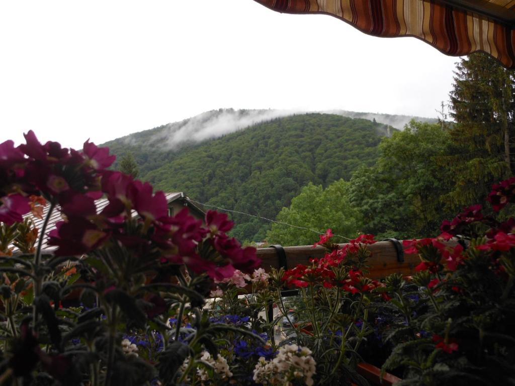 Bistro-Pension La Teleferic Sinaia Exteriör bild